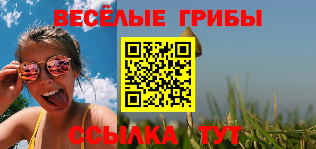 Галлюциногенные грибы Psilocybine cubensis  Псилоцибиновые грибы Magic Shrooms  Вход с VPN  где можно купить наркотик  Самара 